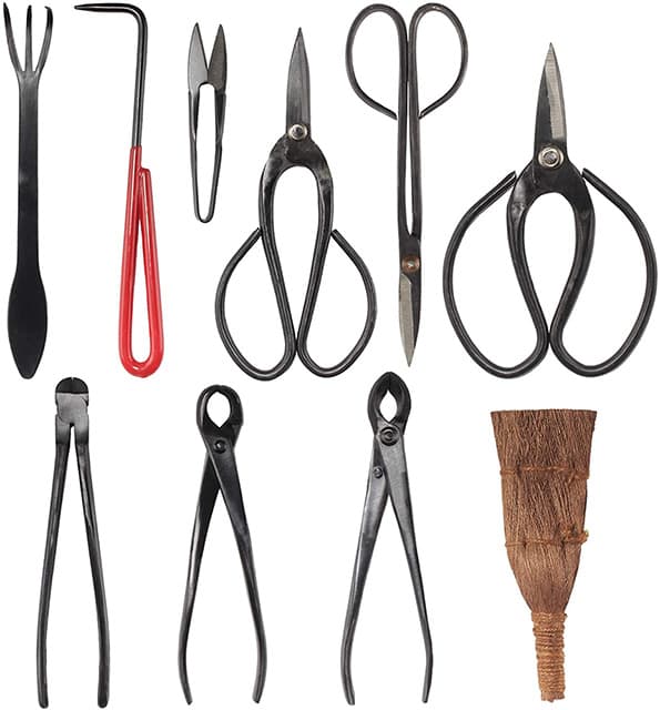 The 7 Best Bonsai Tool Sets in 2023 Rhythm of the Home