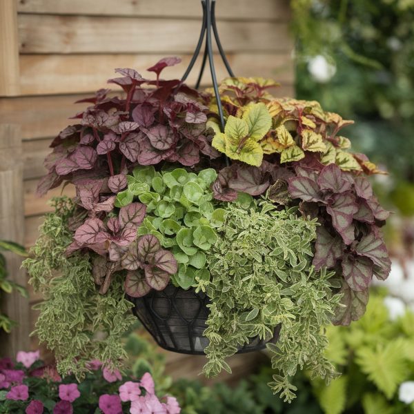The 25 Best Hanging Basket Plants – Rhythm of the Home