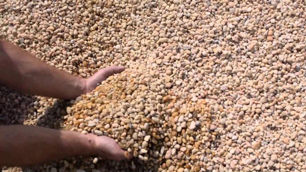The 10 Best Driveway Gravel Types in 2024 Rhythm of the Home