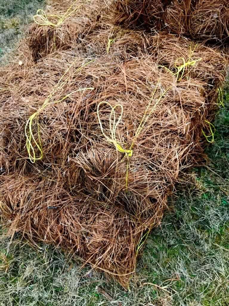 7 Things to Know About Pine Straw Mulch – Rhythm of the Home