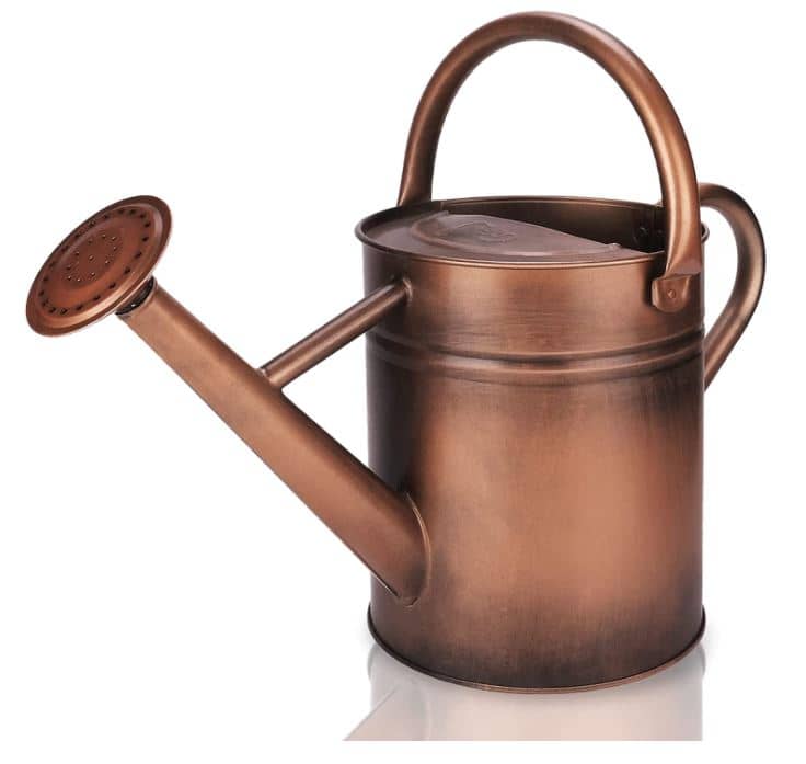The 7 Best Watering Cans in 2024 Rhythm of the Home