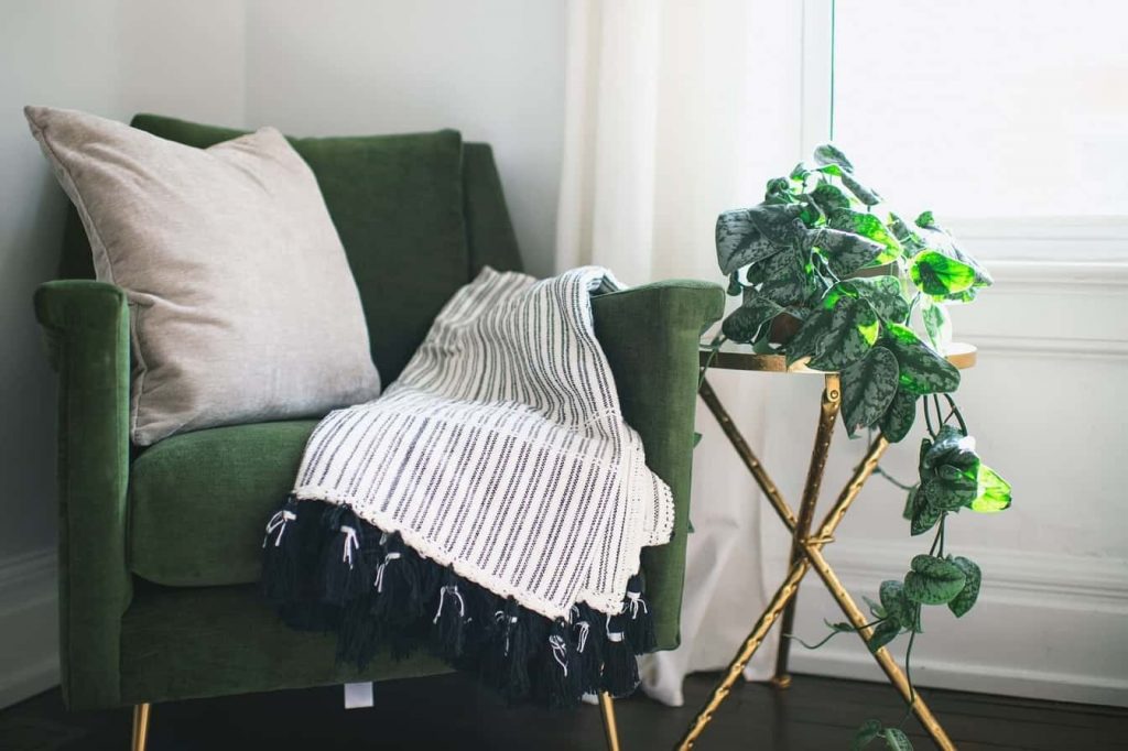 Blanket on Chair With Plant Next to it