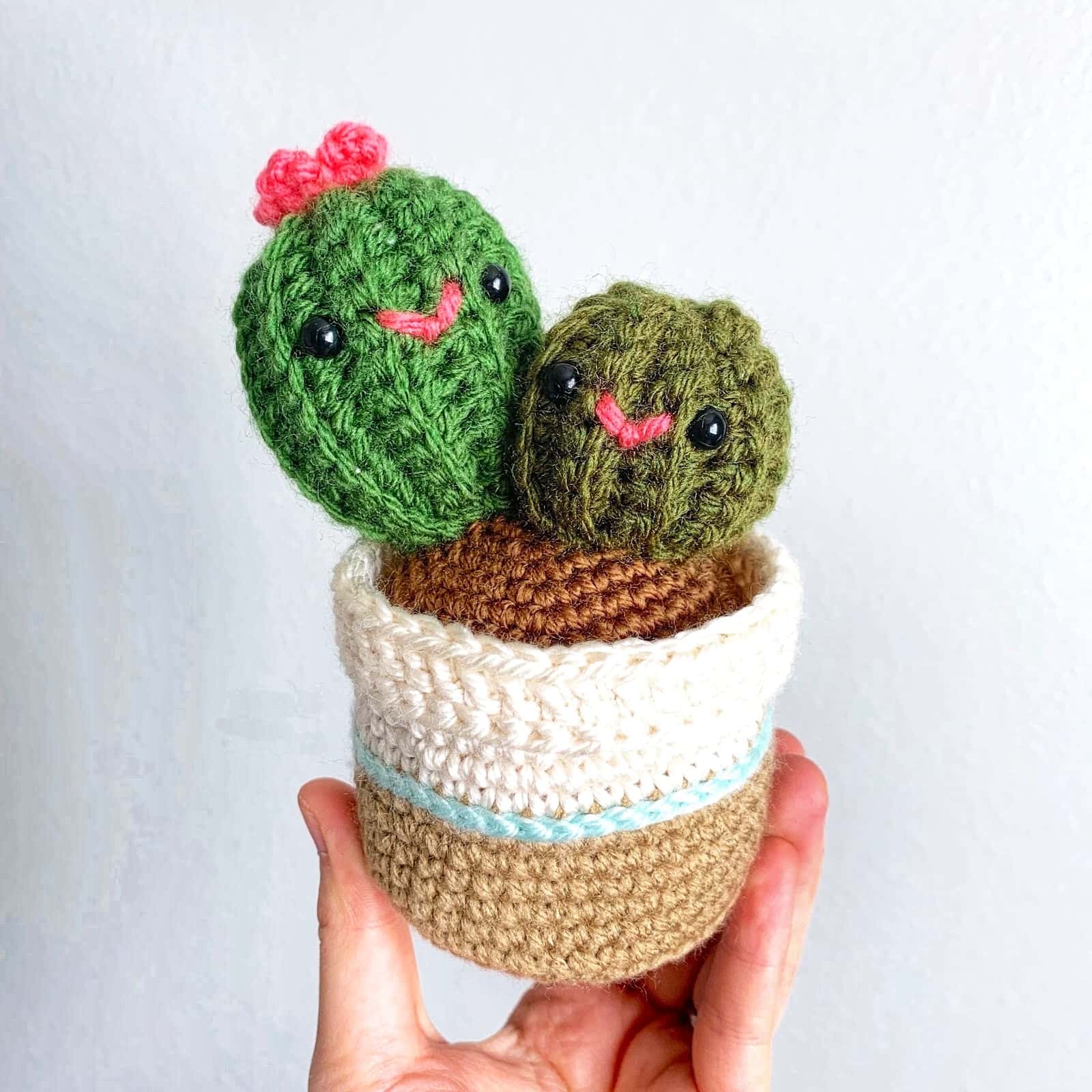 Mothers Day Cactus Crochet