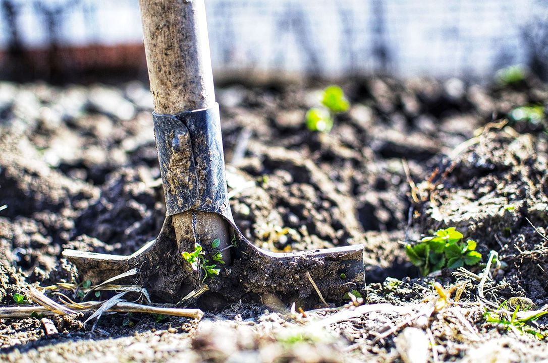 Shovel in the Mud