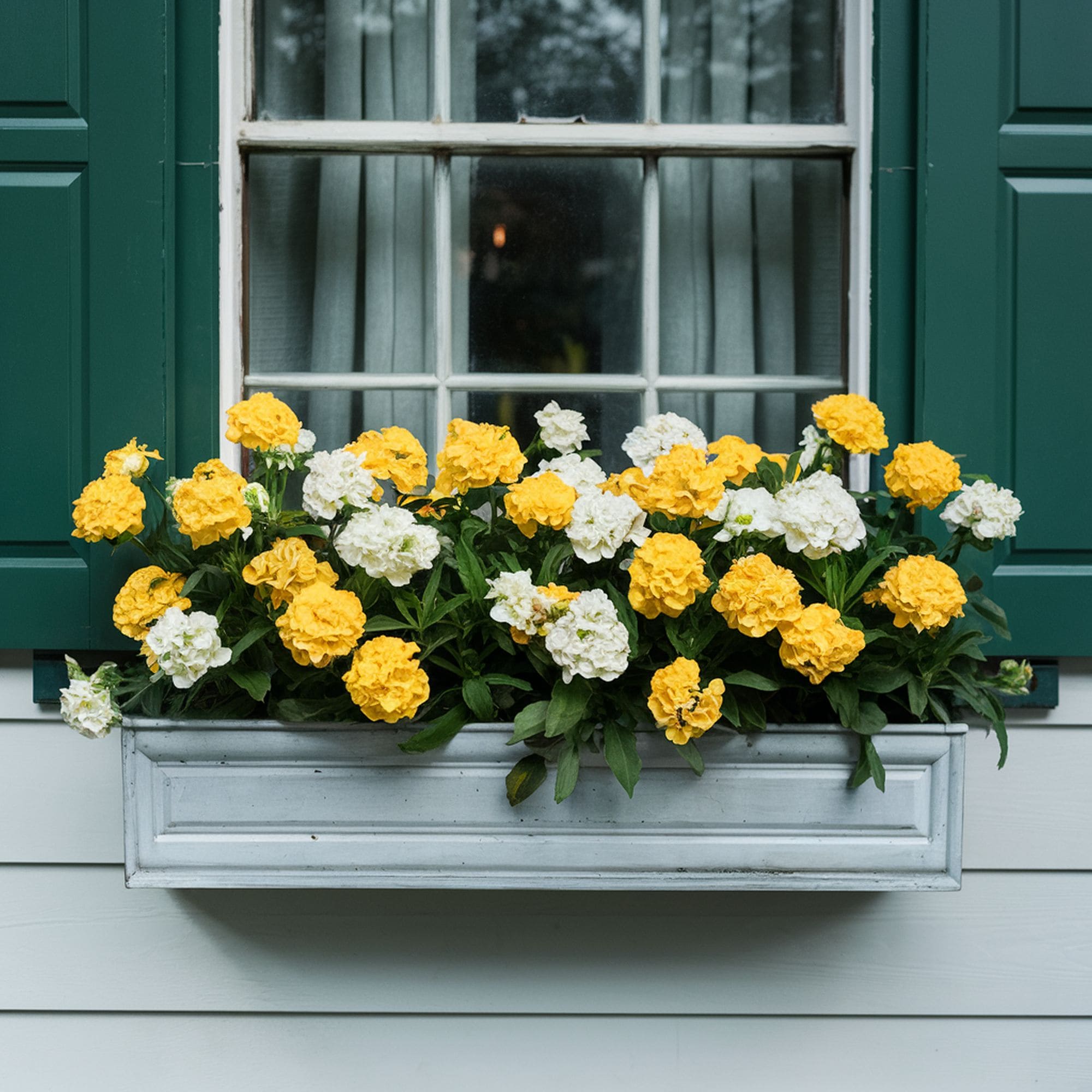 Vintage Window Box