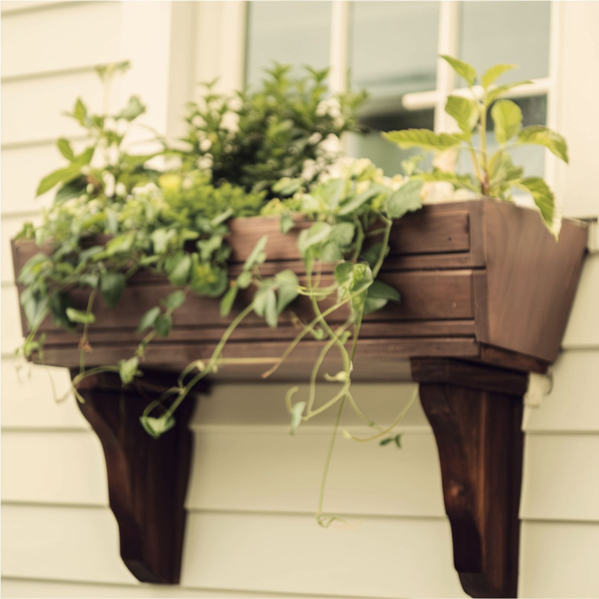 Brown Wood Elegant Window Box