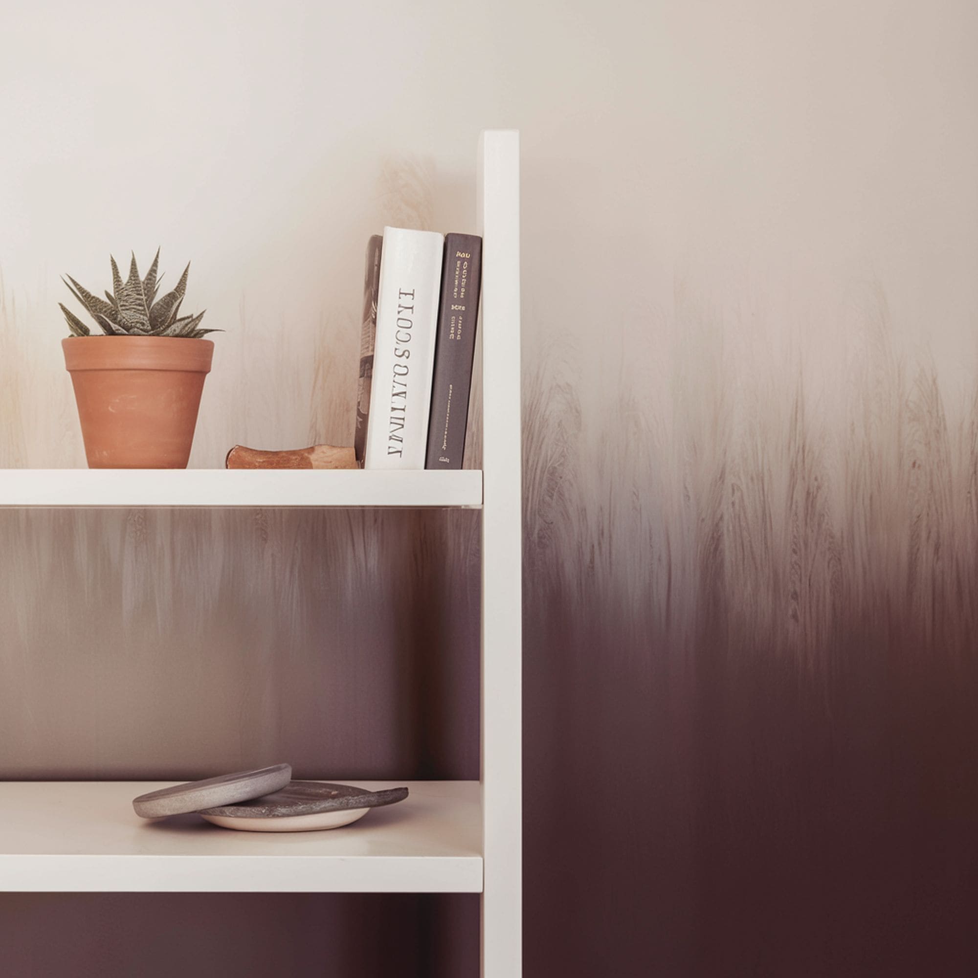 Decorative Shelves With Ombre Wall