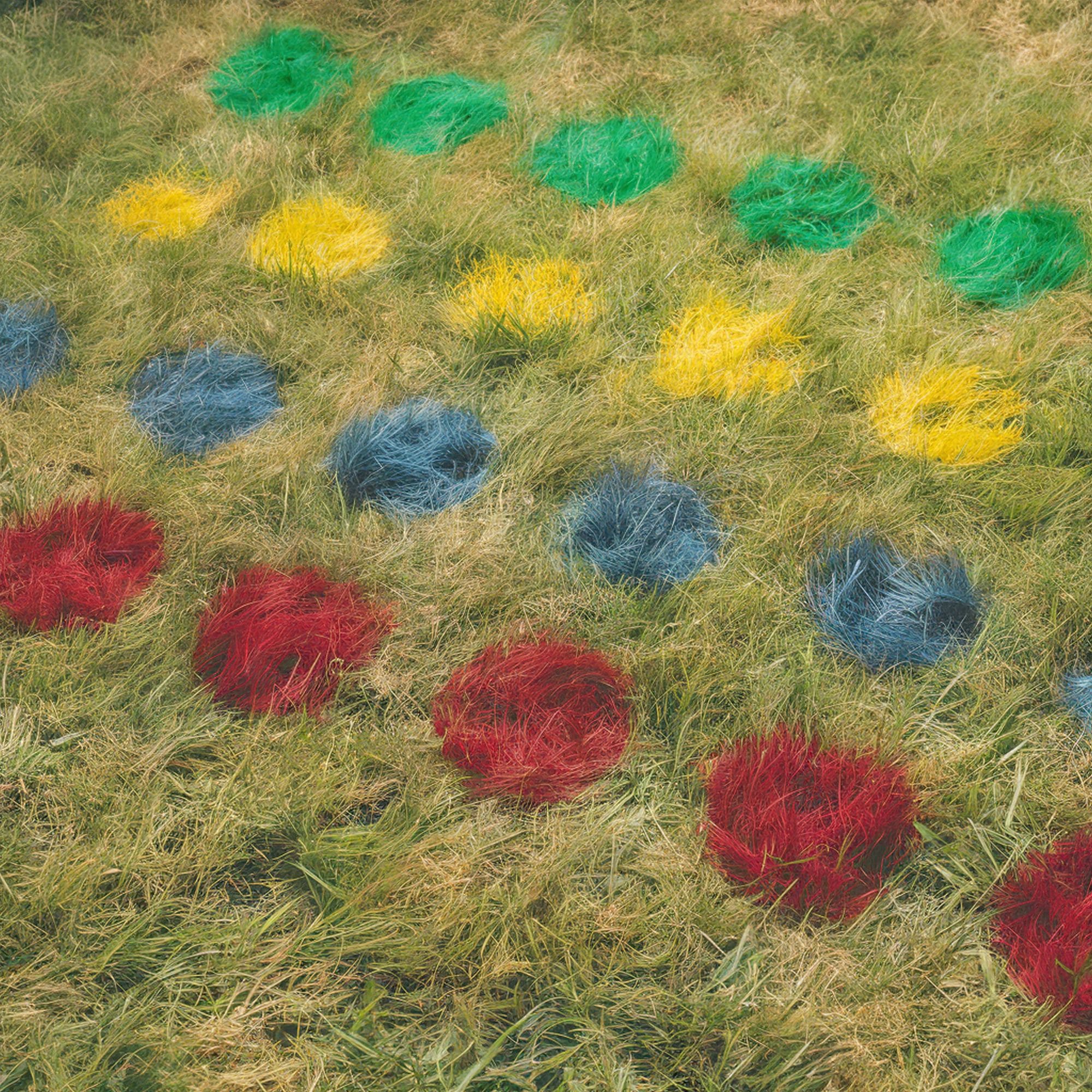 Backyard Twister Game