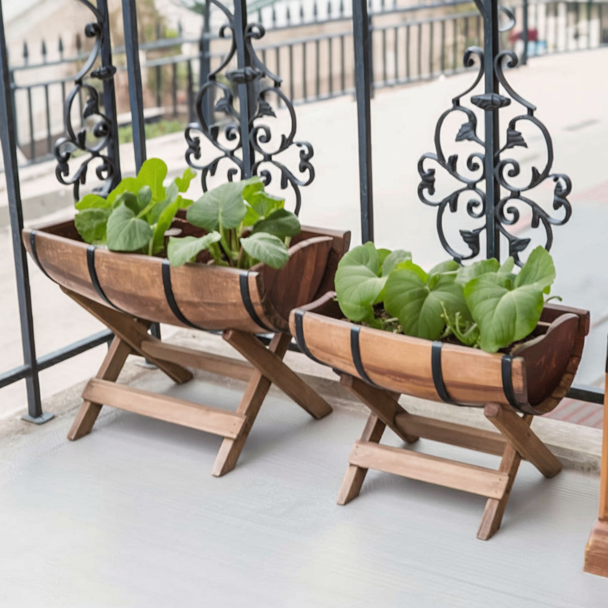 Half Barrel Raised Beds