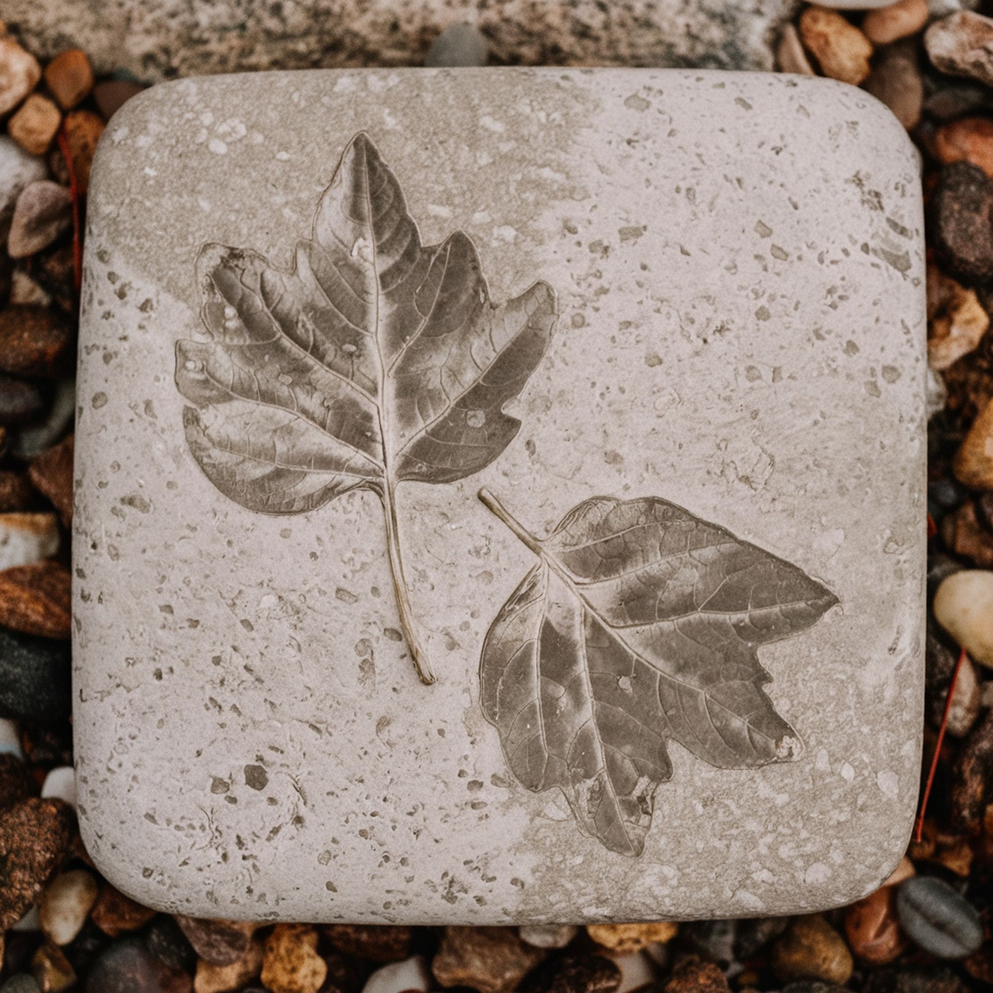 Leaf Imprint Stepping Stones Pathway