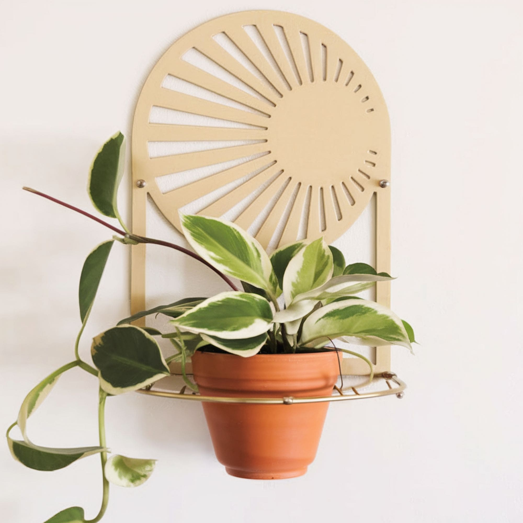 Celestial Style Wall Mounted Plant Holder