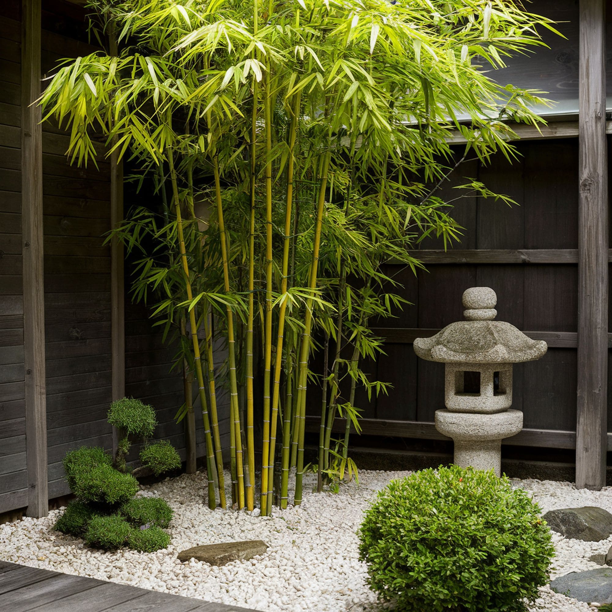 Zen Garden Featuring Bamboo