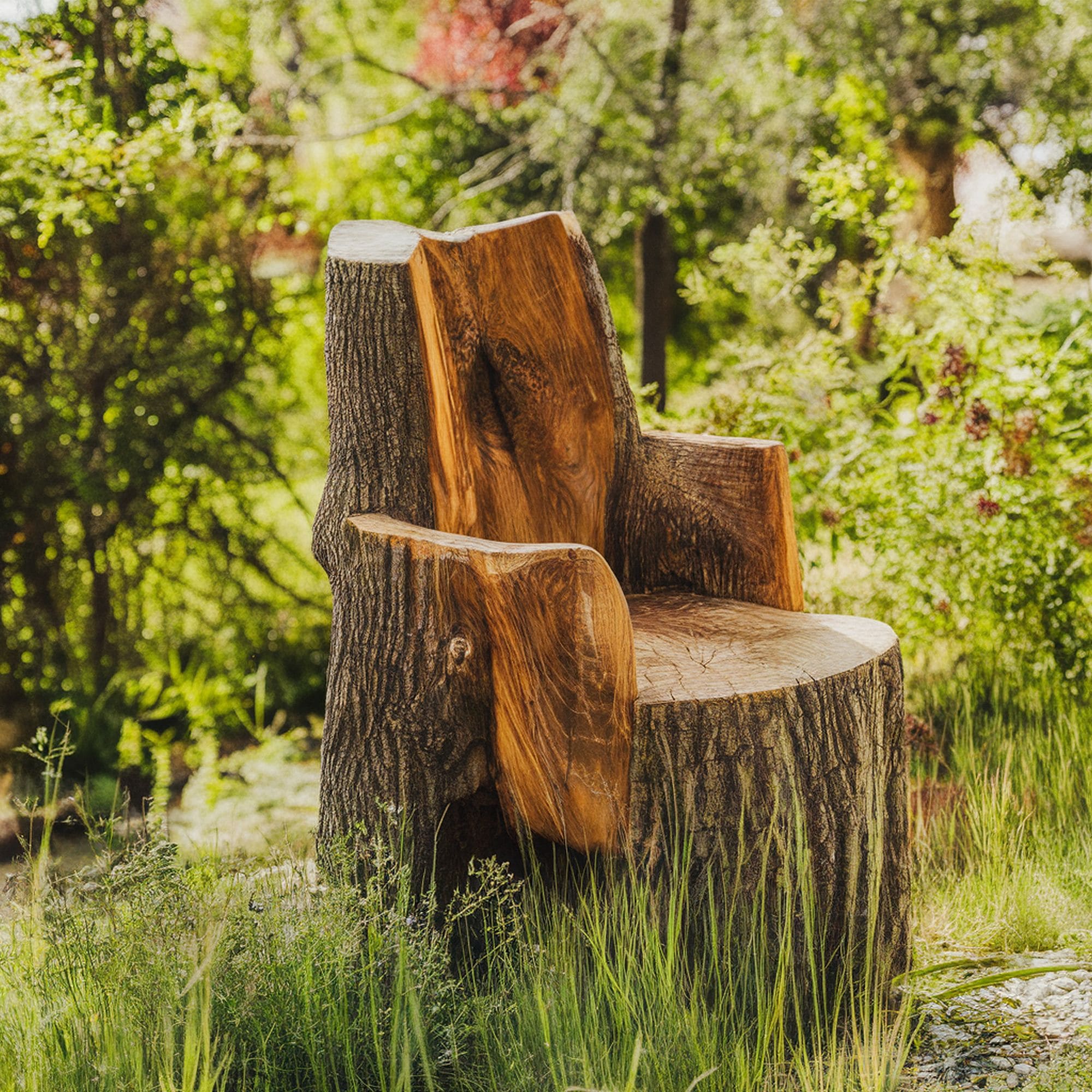 15 Crazy Tree Stump Ideas for Your Garden