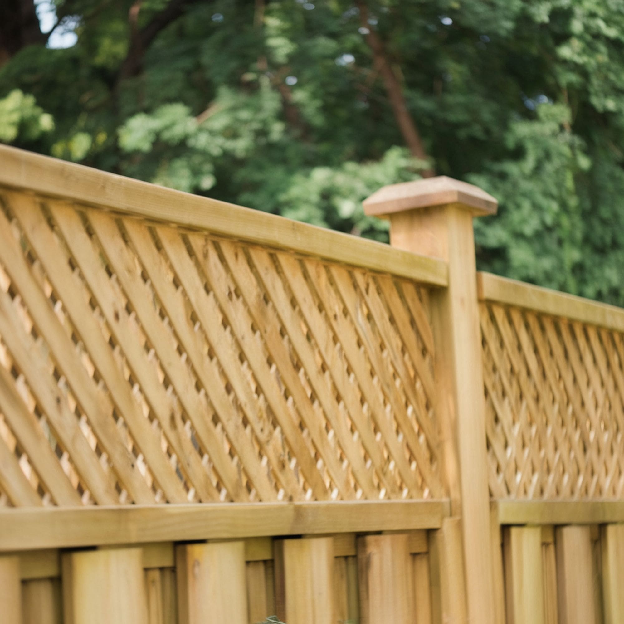 Lattice Privacy Fence