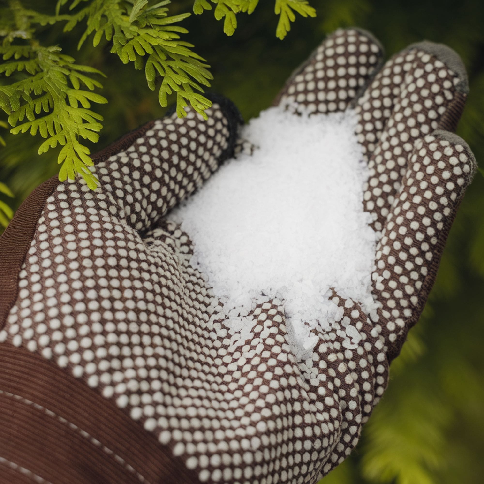 12 Ways to Use Epsom Salt for Your Plants and Garden