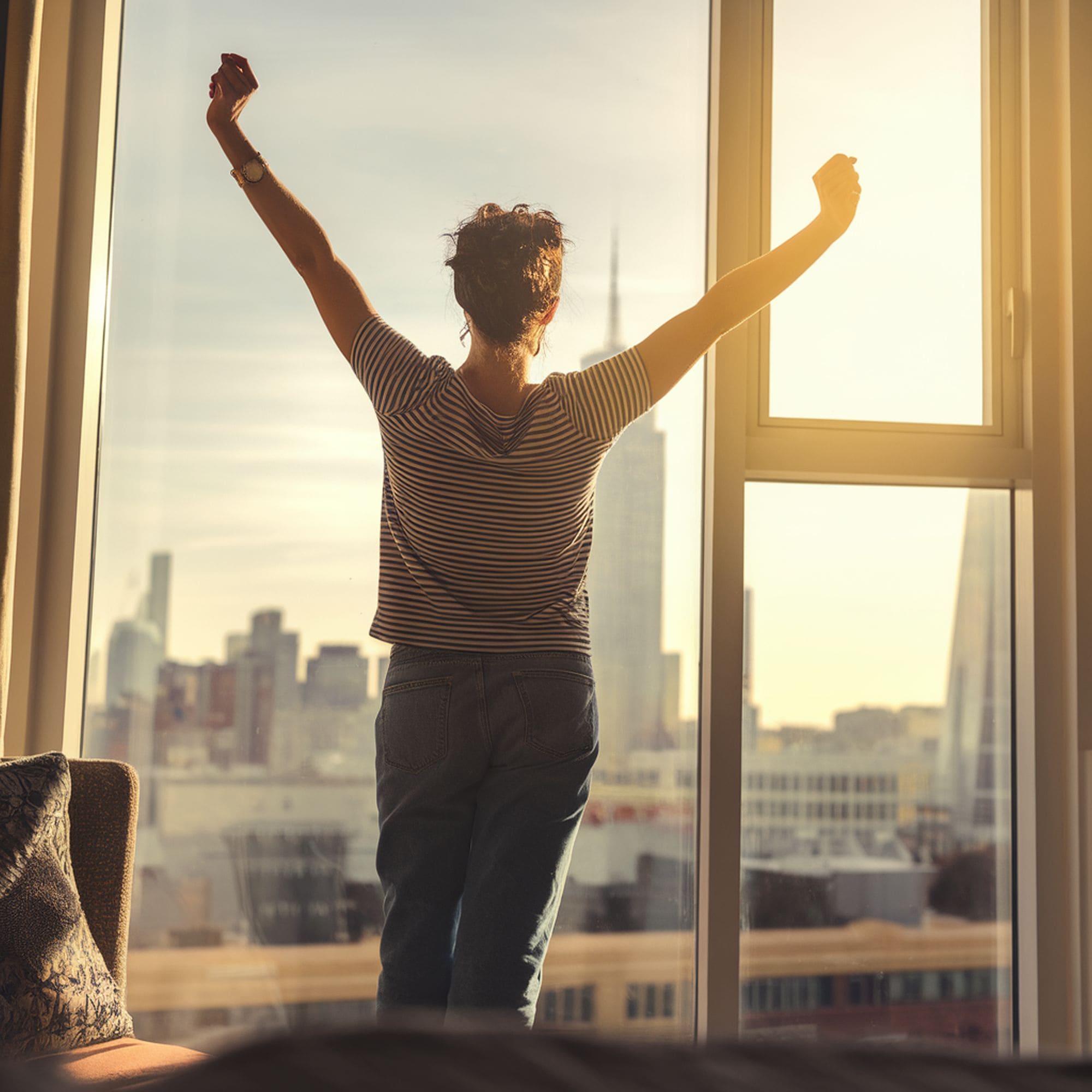 7 Things You Need to Know About Tinted Home Windows