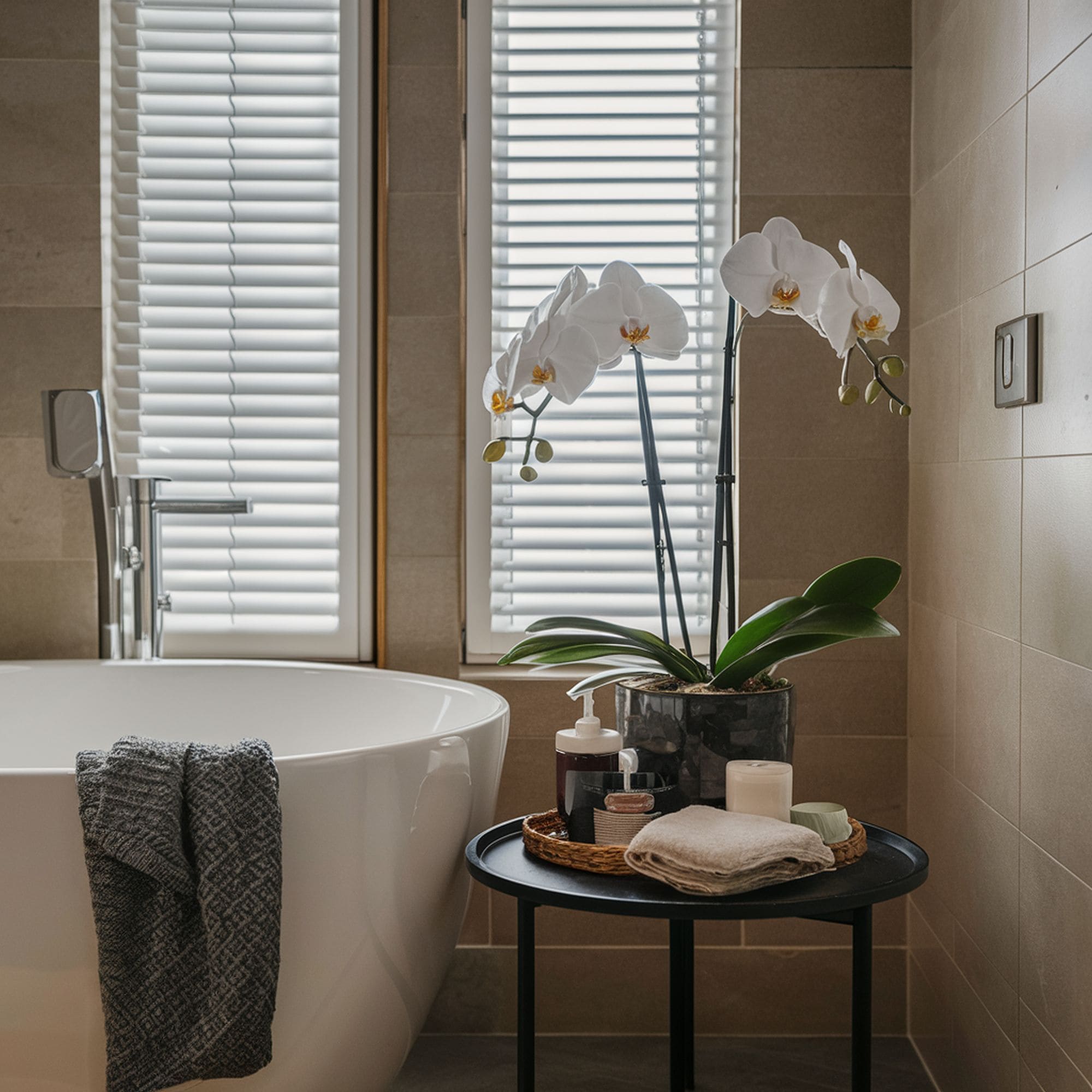 Orchid Plant in the Bathroom