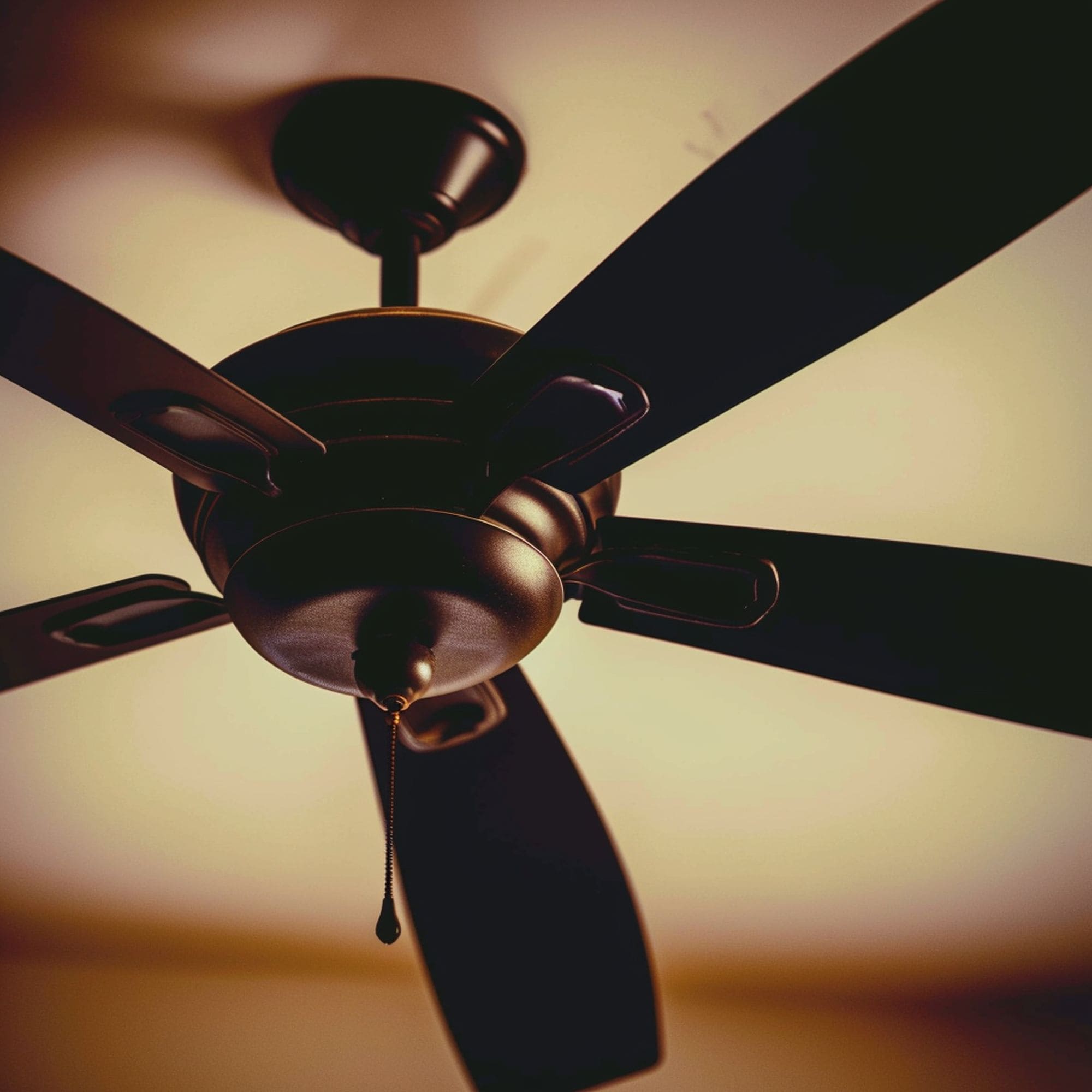 Ceiling Fan