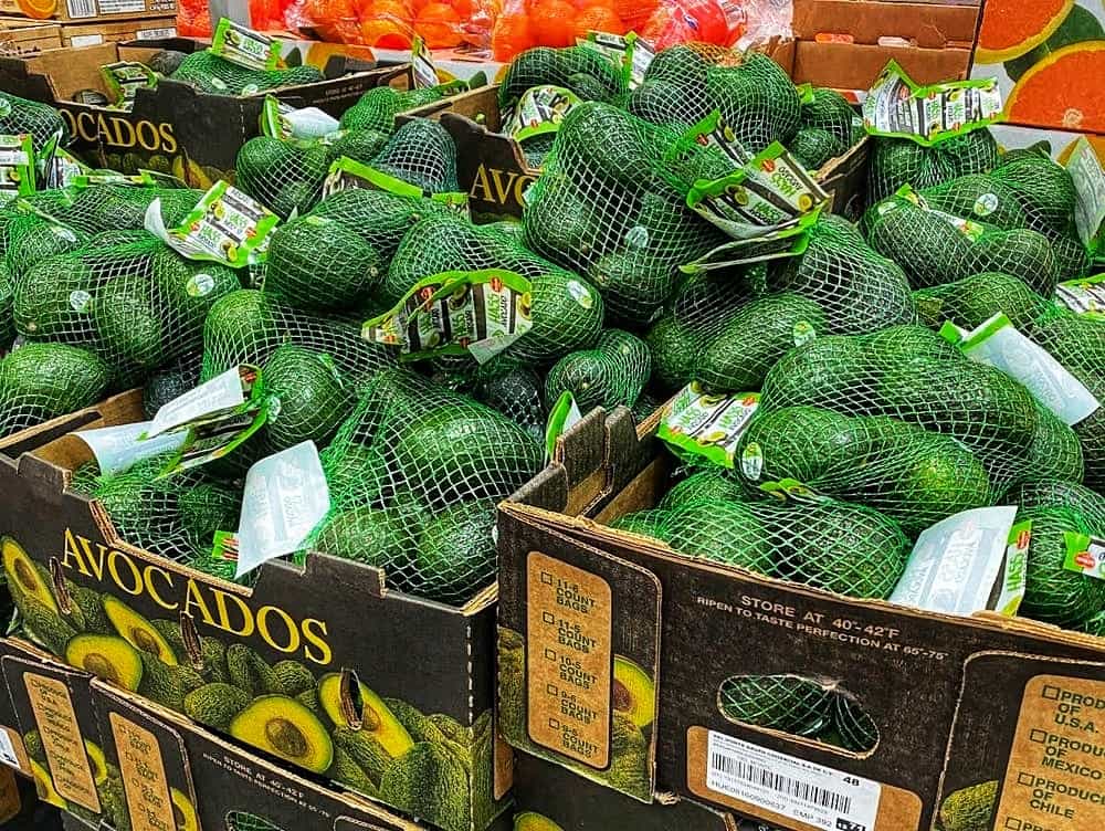 Avocados from Costco