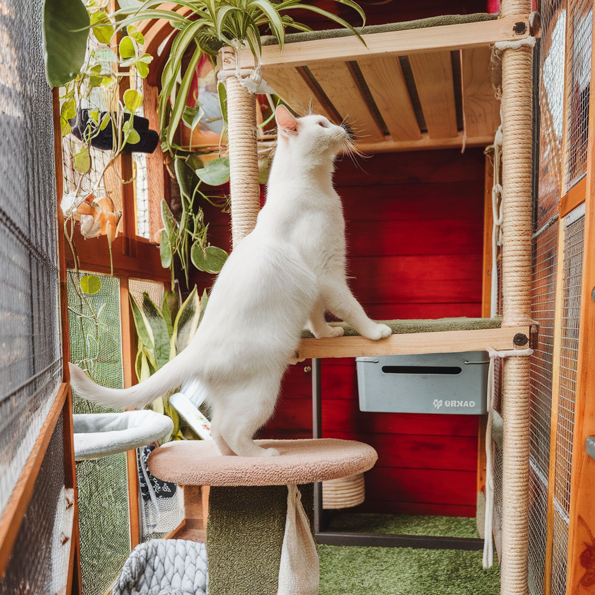 34 Catio Ideas Your Furry Friend Will Love