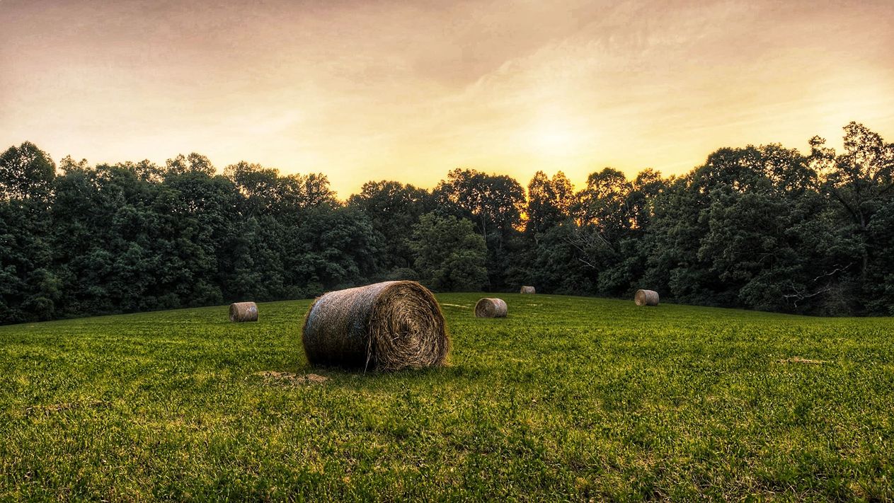 Laurel County Kentucky