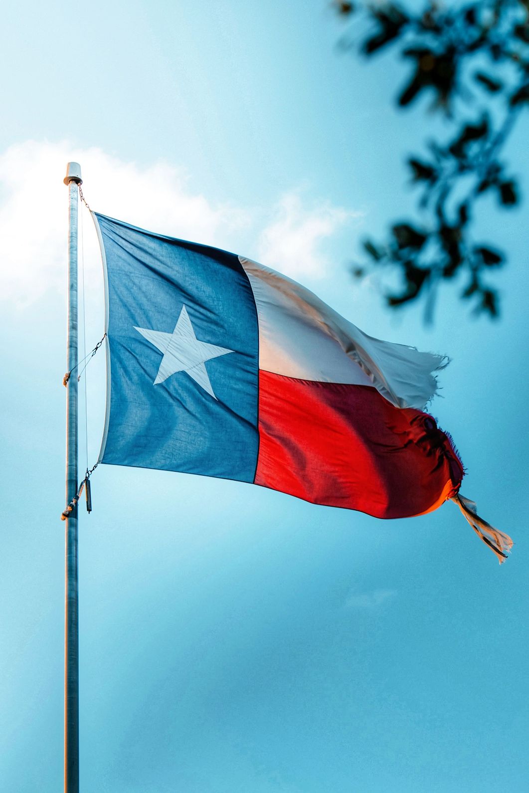 The 10 Best States to Buy Land in America