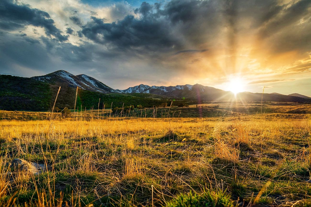 Wasatch National Forest Utah