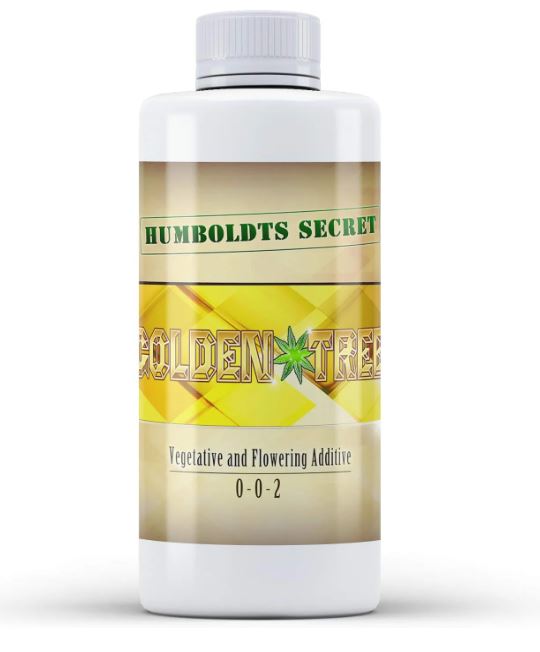 Humboldts Secret Golden Tree