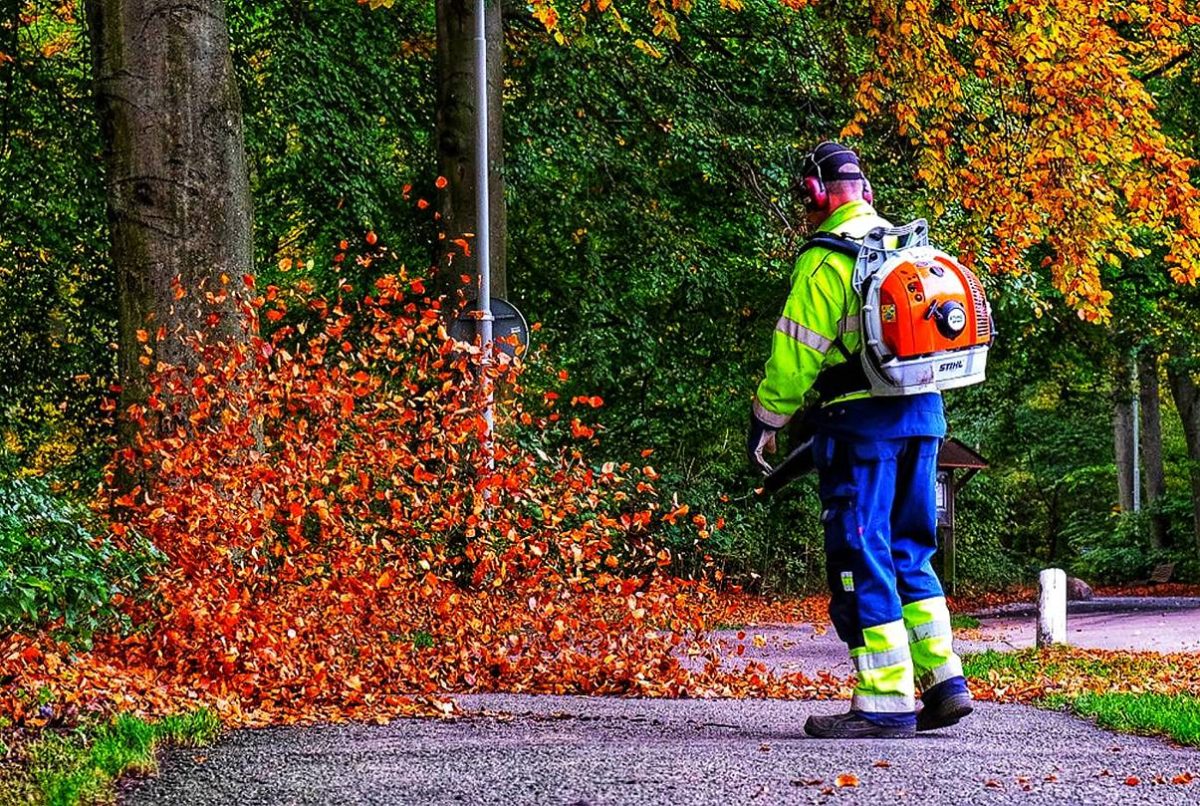 Man With a Backpack Leaf Blower